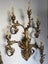 European Gilt Metal Floral 6 Lights Wall Sconce Carousel 18