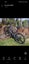 Loading Image 2 of 17