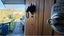 gallery view thumbnail