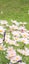 Loading Image 1 of 6