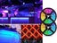 LED Lights Carousel 10