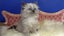 Loading Image 2 of 18