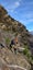 Aoraki Tree and Scrub Carousel 9