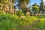 gallery view thumbnail