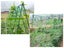 Garden Netting NZ Clearance Carousel 5
