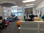gallery view thumbnail