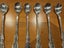 Camille Parfait Spoons x 6 Carousel 5