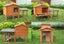 Rabbit Hutch Carousel 2