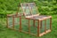 CHICKEN RUN Carousel 3