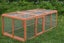 CHICKEN RUN Carousel 5