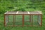 CHICKEN RUN Carousel 6