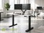 ErgoChoice Standing Desk Adjustable Desk 120cm Carousel 1