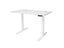 ErgoChoice Standing Desk Adjustable Desk 120cm Carousel 13