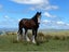 Loading Image 2 of 16