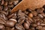Coffee Roasting business in Rotorua Carousel 9
