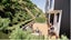 gallery view thumbnail
