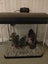 Aqua Style 510 Curved Glass Aquarium and cabinet Carousel 1