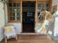 gallery view thumbnail