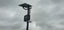 CCTV,ALARMS,DIGITAL SMART LOCK AND GATE AUTOMATION Carousel 16