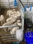 Heatwave Milk Warmer Carousel 4