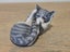 Vintage Royal Copenhagen Porcelain Kitten / Cat Playing with Tail Figurine # 727 Carousel 6