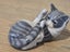 Vintage Royal Copenhagen Porcelain Kitten / Cat Playing with Tail Figurine # 727 Carousel 10