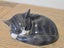 Royal Copenhagen Sleeping Cat Porcelain Figurine - Designed by Erik Nielsen Carousel 3