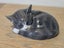 Royal Copenhagen Sleeping Cat Porcelain Figurine - Designed by Erik Nielsen Carousel 9