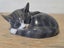 Royal Copenhagen Sleeping Cat Porcelain Figurine - Designed by Erik Nielsen Carousel 11