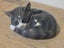 Royal Copenhagen Sleeping Cat Porcelain Figurine - Designed by Erik Nielsen Carousel 12
