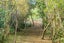 gallery view thumbnail