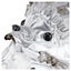 Swarovski Crystal Idyllia Hedgehog Carousel 2