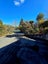 gallery view thumbnail