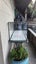 Fish tank, filter and light Carousel 3