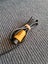 Nintendo 64 Yellow Controller Carousel 4
