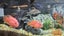 Juwel 450 African Cichlid Aquarium Complete Setup Carousel 4