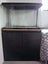 Fish Tank 125L Aqua One Lifestyle & Cabinet Carousel 3