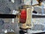 Loading Image 4 of 4