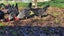 Loading Image 1 of 7