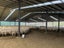 Melrose Station Carousel 2