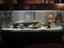 Complete Tank setup 375L (all accessories included) Carousel 1