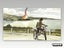 PS2 • Ace Combat 04: Shattered Skies • CIB • NTSC-J Carousel 6