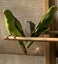 Loading Image 1 of 7