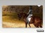 PS2 • Horsez • CIB Carousel 3