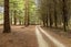 gallery view thumbnail