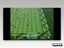 PS2 • Pro Evolution Soccer • CIB Carousel 4