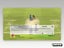 PS2 • Ricky Ponting International Cricket 2007 • CIB Carousel 3