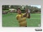 PS2 • Tiger Woods PGA Tour 07 • CIB Carousel 3