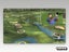 PS2 • Tiger Woods PGA Tour 07 • CIB Carousel 5