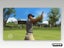 PS2 • Tiger Woods PGA Tour 08 • CIB Carousel 6